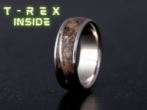Silver SPIRAL Meteorite Dinosaur bone TRex Fossil ring
