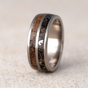 Titanium Dinosaur Bone Meteorite Ring
